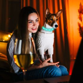 USB Rechargeable LED Dog Collar Multi-Color Lighting Dog Safety Collar Cuttable Length Glow Dog Collar For Small Medium Large Dog Night Walking (Option: 50CM)
