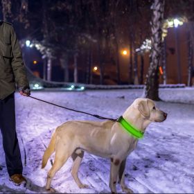 LED Dog Collar USB Rechargeable Adjustable Dog Safety Collar Night Safety Flashing Luminous Light up Collar (Option: L_Green)