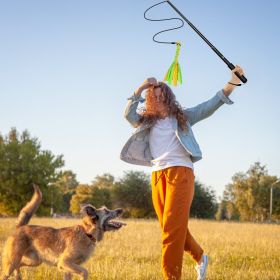 Extendable Dog Flirt Pole with Lure 10.23-26.77in Teaser Wand with 2 Replaceable Interactive Tail Toys For Small Medium Large Dogs Training Exercise T (Option: Black)