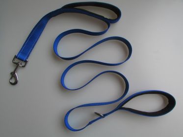 Double Distance Reflective Nylon Pet Leash With Metal Buckle And Handle (Color: Blue)