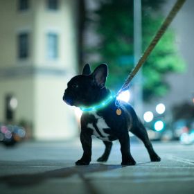 USB Rechargeable LED Dog Collar Multi-Color Lighting Dog Safety Collar Cuttable Length Glow Dog Collar For Small Medium Large Dog Night Walking (Option: 35CM)
